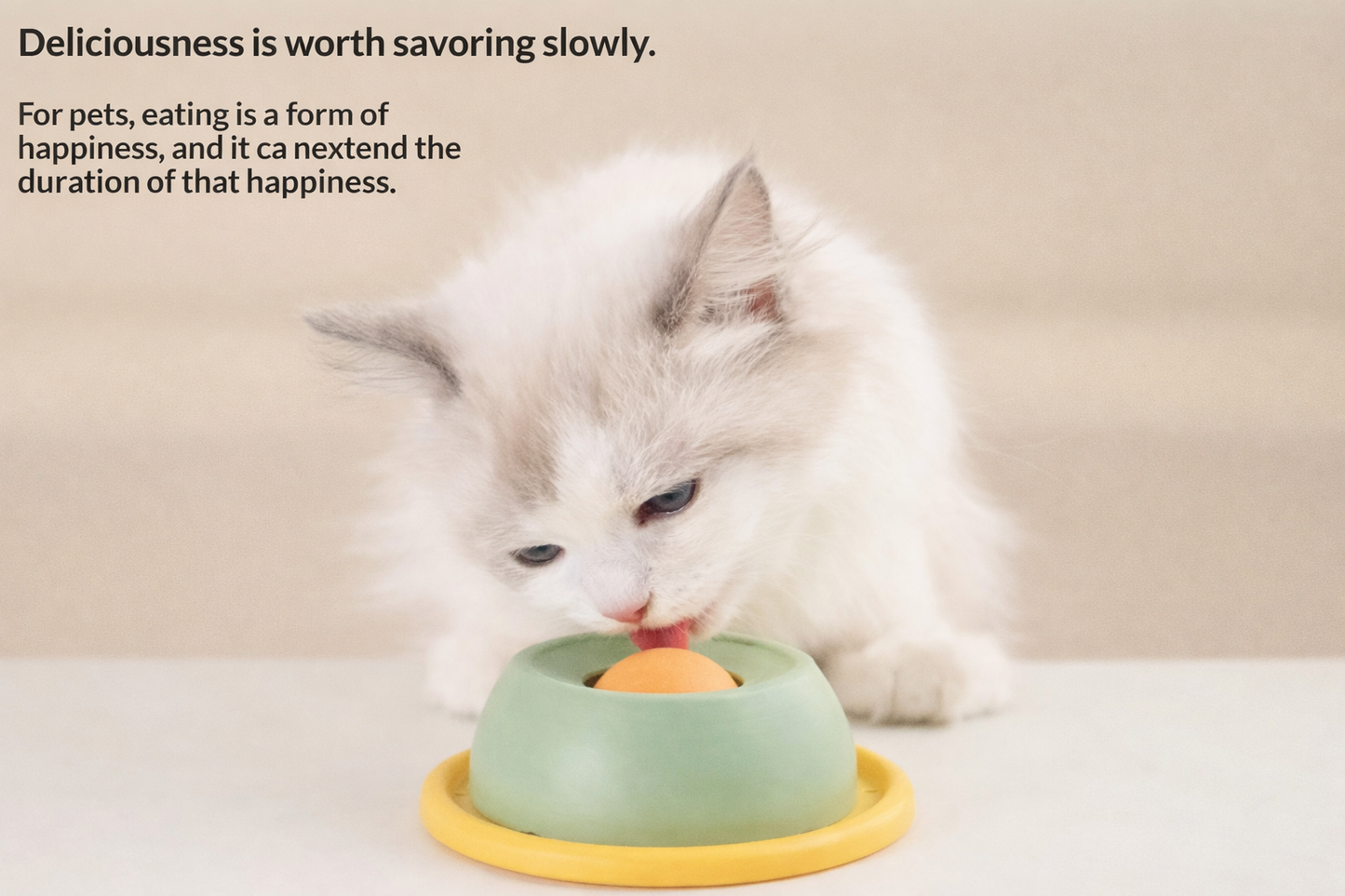 Treat Dispensing Ball